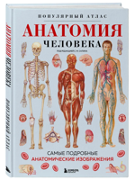 Анатомия человека. Популярный атлас. Самые подробные анатомические изображения