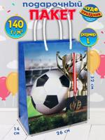Пакет подарочный "Футбол" 32х26х14 см