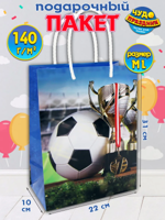 Пакет подарочный "Футбол" 31х22х10 см