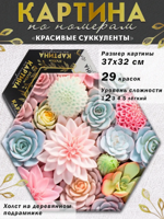 Картина по номерам "Красивые суккуленты" гексагон 37х32Х1,8 см.