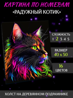 Картина по номерам "Радужный котик" 40х50 см
