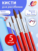 Набор кистей с пеналом, 5 шт