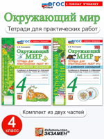 Окружающий мир. 4 класс. Тетрадь для практических работ. В 2-х частях