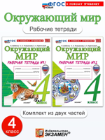 Окружающий мир. 4 класс. Рабочая тетрадь. В 2-х частях