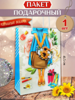 Пакет подарочный "Поход в магазин"