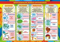 Плакат "Многообразие живых организмов", А2