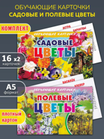 Обучающие карточки: Цветы садовые и полевые