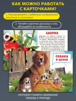 Обучающие карточки: Мамы и детки / Насекомые