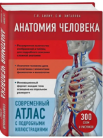 Анатомия человека. Современный атлас с подробными иллюстрациями