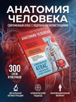 Анатомия человека. Современный атлас с подробными иллюстрациями