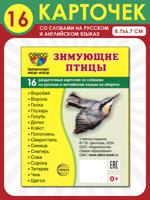 Демонстрационные картинки Супер. Зимующие птицы. 16 раздаточных карточек с текстом