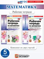 Математика. 5 класс. Рабочая тетрадь к учебнику Н. Я. Виленкина. 2 части (2024 г.)