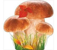 Украшение на скотче "Белые грибы"