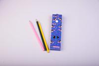 Пластиковый пенал с карандашами "Космокот" (12 штук)